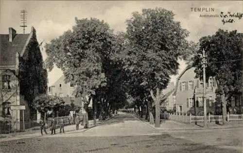 Ak Templin in der Uckermark, Straßenansicht, Bäume, Häuser, Pferdewagen