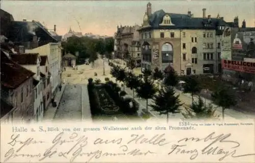 Ak Halle an der Saale,  Blick auf Wallstraße, alte Promenade, 