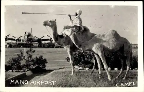 Ak Kano Nigeria, Flughafen, Mann auf Kamel reitend