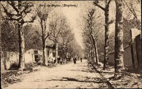 Ak Konstantinopel Istanbul Türkei, Bois de Beycos