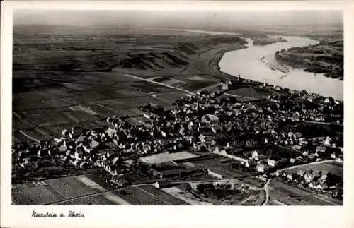 Ak Nierstein am Rhein, Luftaufnahme von  ruhiger Rhein, Felder, traditionelle Gebäude