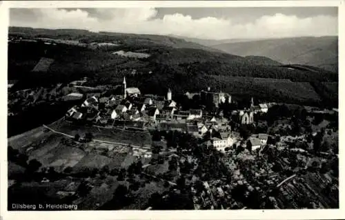 Ak Dilsberg Neckargemünd am Neckar, Luftaufnahme von Dilsberg, bewaldete Umgebung,  Gebäude