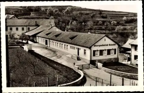 Ak Bickensohl Vogtsburg im Kaiserstuhl, Winzerkeller der Winzergenossenschaft, Winzergesellenschaft