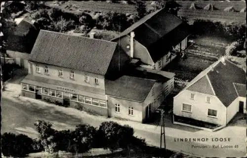 Ak Ostseebad Eckernförde, Lindenhof Loose, Pension, schönes Wetter, Strand, ruhige Lage