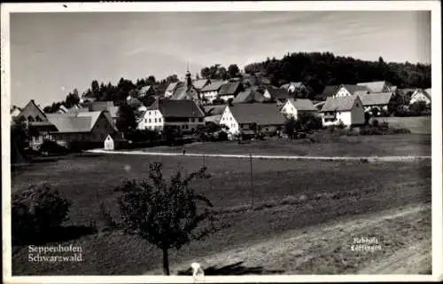 Ak Seppenhofen Löffingen im Schwarzwald, Teilansicht
