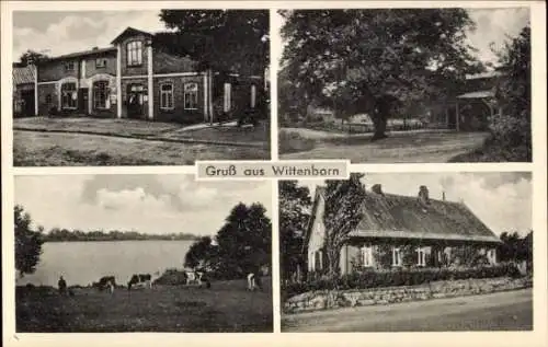 Ak Wittenborn in Schleswig Holstein, Teilansichten, Geschäft, Gebäude