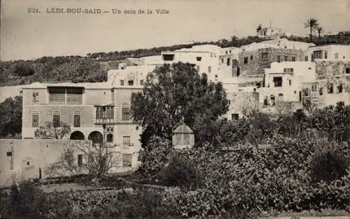 Ak Ledi Bou Saïd Tunesien, Teilansicht