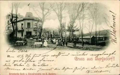 Ak Hamburg Bergedorf, Gasthaus, Gartenpartie