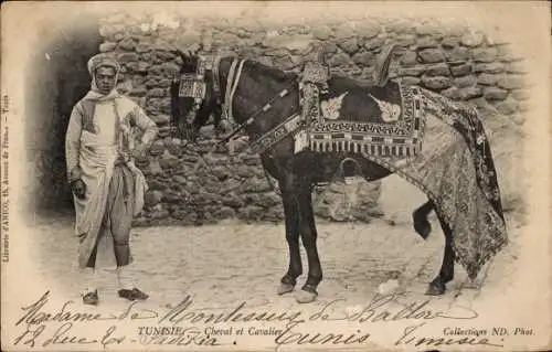 Ak Tunesien, Pferd und Reiter