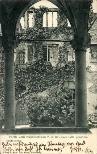 Ak Heidelberg am Neckar, Ruprechtsbau, Brunnenhalle, Überwucherung mit Pflanzen
