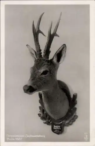 Ak Berlin, Internationale Jagdausstellung 1937, Geweih