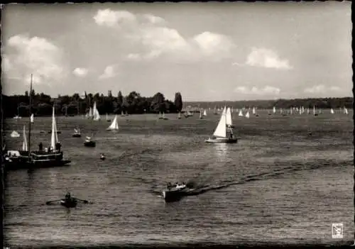 Ak Berlin Zehlendorf Wannsee, Großer Wannsee, Havel, Boote