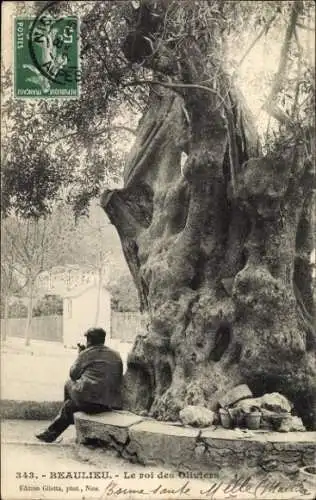 Ak Beaulieu sur Mer Alpes Maritimes,  der König der Olivenbäume, einsamer Mann unter Olivenbaum