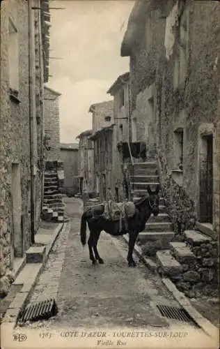 Ak Tourrettes sur Loup Alpes Maritimes, Maultier auf der alten Straße