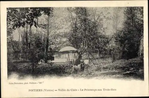 Ak Poitiers Vienne, Schwarz-Weiß-Bild, Flusslandschaft, Bäume, Person mit Hund, Bank