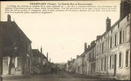 Ak Champlost Yonne, Blick auf die Hauptstraße, Dorfansicht, Kultur des Johannisbeers