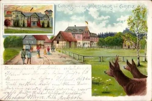 Ak Greiz im Vogtland Thüringen, Waldhaus  Natur, Rehe, Personen, 