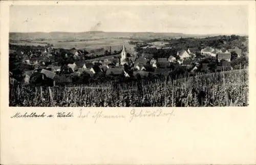 Ak Michelbach am Wald Öhringen im Hohenlohekreis Württemberg, Gesamtansicht