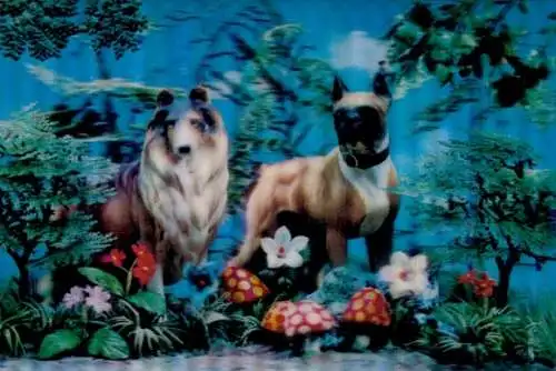 3-D Ak Zwei Hunde, Blumen, Pilze