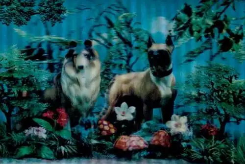 3-D Ak Zwei Hunde, Blumen, Pilze