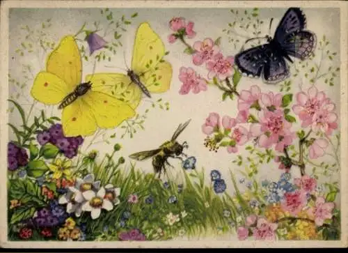 Ak Blumenwiese, Schmetterlinge, Hummel, Blumen