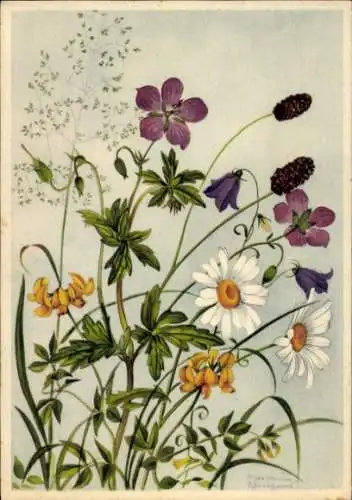 Künstler Ak Schneegans, Marianne, Wiesenblumen
