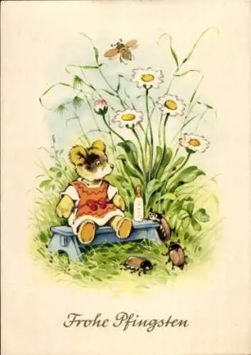 Ak Glückwunsch, Pfingsten, Maikäfer, Teddy