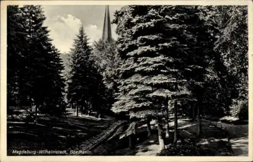 Ak Wilhelmstadt Magdeburg an der Elbe, Goethestraße