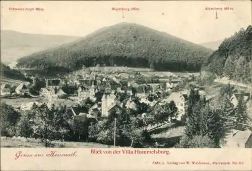 Ak Bad Herrenalb im Schwarzwald, Blick von der Villa Hummelsburg