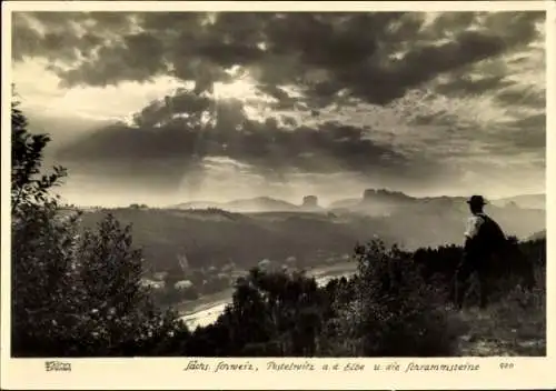 Ak Postelwitz Bad Schandau Elbe, Schrammsteine, Hahn 920