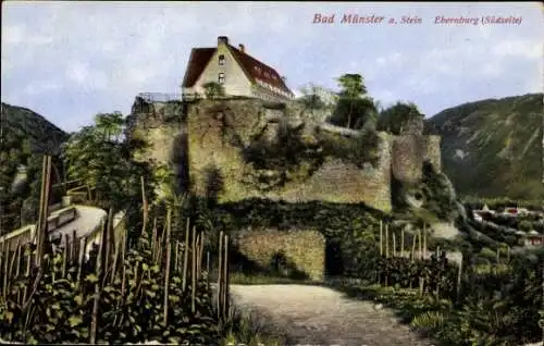 Ak Bad Münster am Stein Bad Kreuznach an der Nahe, Burg Ebernburg, Weinberge