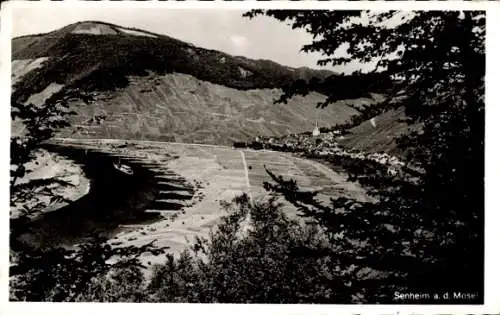 Ak Senheim an der Mosel, Panorama