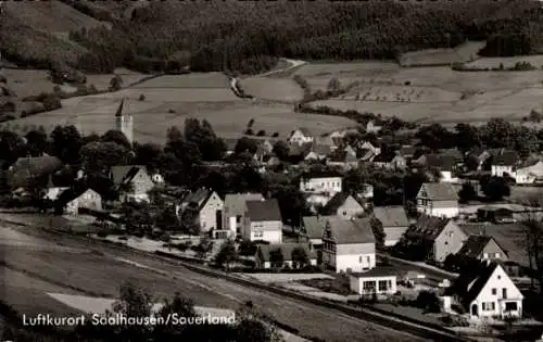 Ak Saalhausen Lennestadt im Sauerland, Gesamtansicht