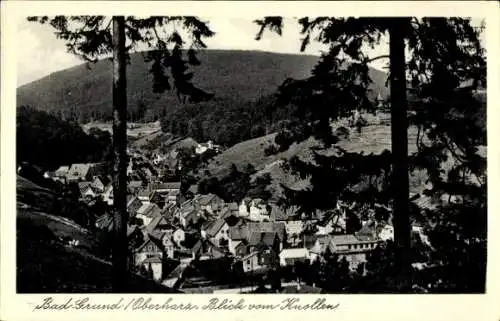 Ak Bad Grund im Harz, Blick vom Knollen, Wald, Häuser, Berge