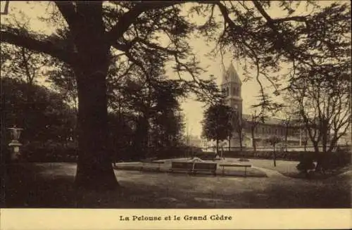 Ak Saint Mandé Val de Marne, Insitiut Sevigne, Pelouse, Grand Cedre