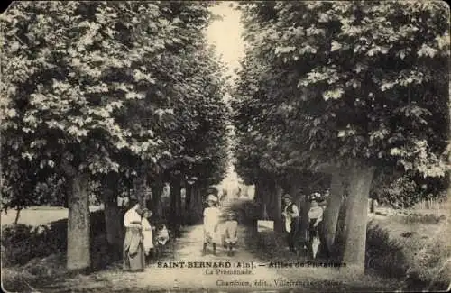Ak Saint Bernard Ain, Allees de Plutannes, Promenade