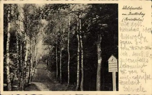 Ak Butterberg Bischofswerda in Sachsen, Waldweg, Rodelbahn