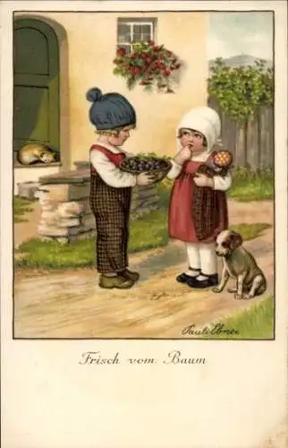 Künstler Ak Ebner, Pauli, Kinder, Früchte, Hund, Schlafende Katze