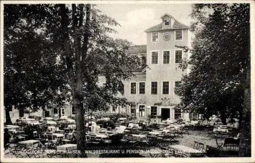 Ak Sondershausen im Kyffhäuserkreis Thüringen, Historisches Hotel, Waldrestaurant, Terrasse mit T