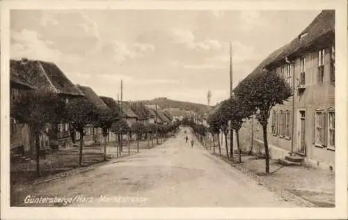 Ak Güntersberge Harzgerode am Harz, Marktstraße, Bäume, Wohnhäuser, ländliche Umgebung
