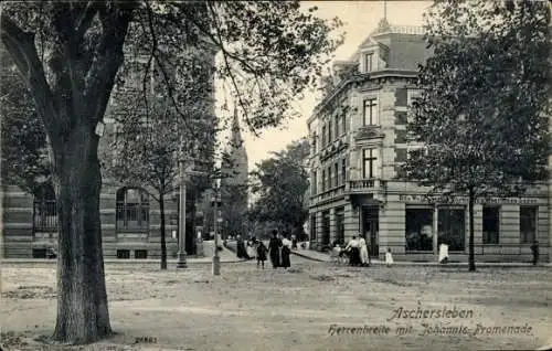 Ak Aschersleben im Salzlandkreis,  Herrenbreite mit Johannis-Promenade, Stadtansicht