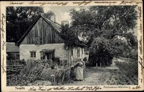 Ak Teupitz in Brandenburg, Amtmanns Weinberg