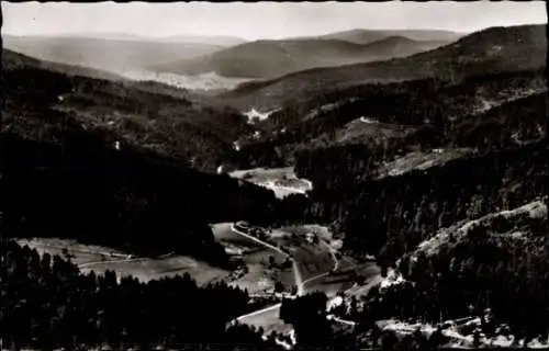 Ak Erbersbronn Forbach im Schwarzwald, Schwarzwald-Landschaft, Gasthaus zum grünen Wald, Naturans