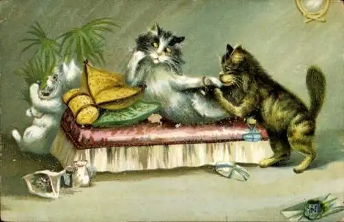 Ak Katzen, Bett, Kissen, Pflanzen, Briefumschlag