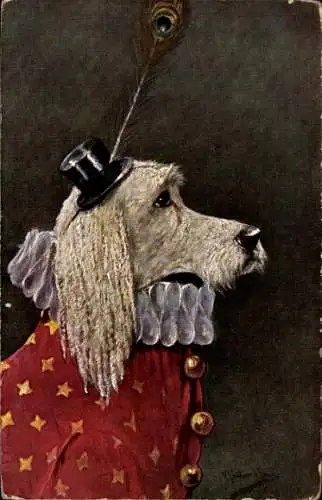 Ak Gekleideter weißer Hund, Hut, Feder, Mantel