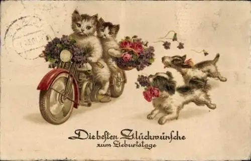 Ak Glückwunsch zum Geburtstag, Katzen mit Blumenkorb auf Motorrad, Hunde