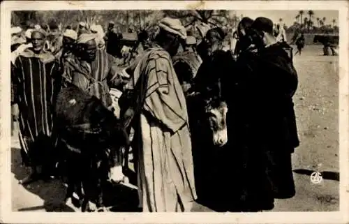 Ak Afrika, Les Souks, Le Marché aux Anes