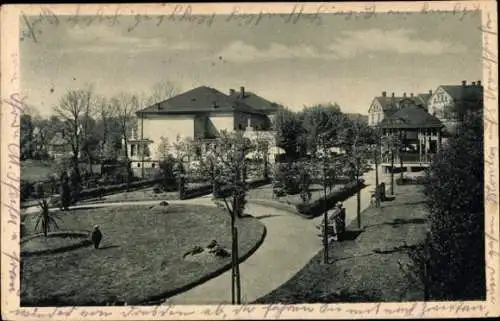 Ak Zwickau in Sachsen, Goldener Helm, Garten