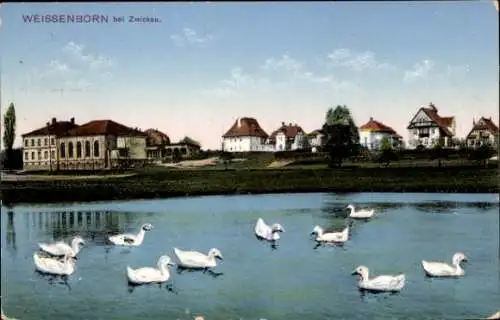 Ak Weißenborn Zwickau in Sachsen, Teilansicht, Teich mit Enten