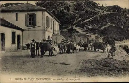 Ak Mines d'Etain d'Ervedosa, Attelages de transports